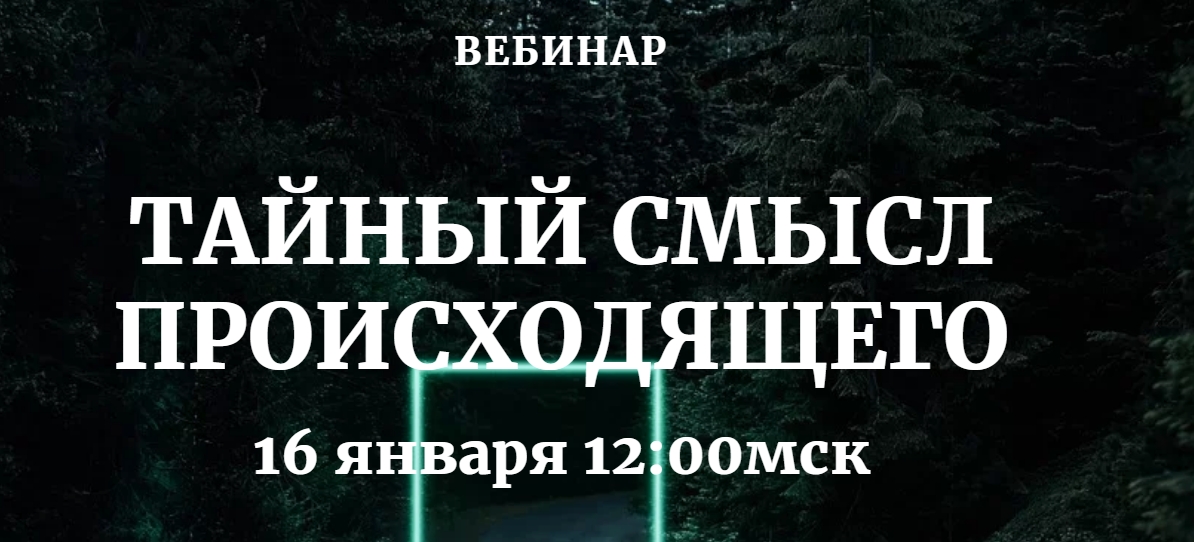 Тайный смысл. Книга в лесу жизни Наташа Бартон. Произошел смысл. Наташа Бартон вебинар мастерство.