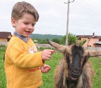 Знакомимся с соседями