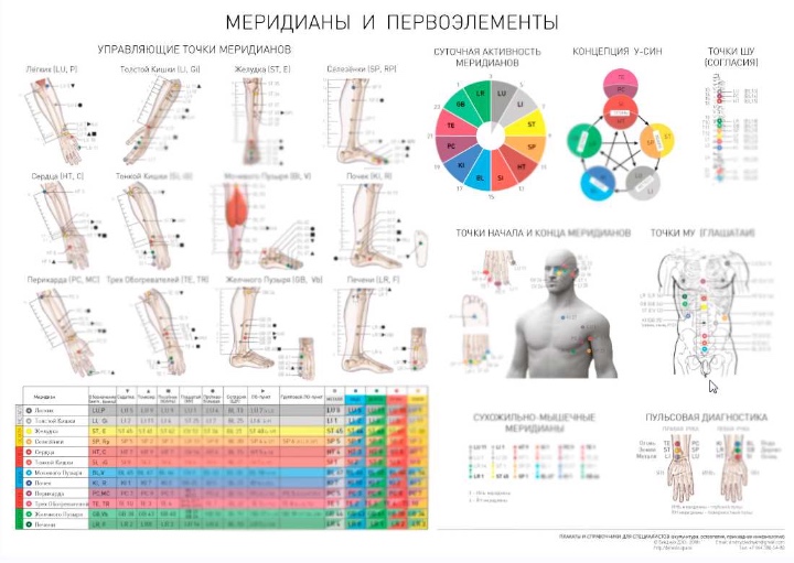 Meridians webcam. Точки меридианов в прикладной кинезиологии. Прикладная кинезиология иннервация и рефлексы. Плакаты Прикладная кинезиология. Сигнальные точки меридианов.