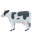 Cow :cow2: 🐄