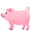 Pig :pig2: 🐖