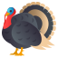 Turkey :turkey: 🦃