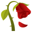Wilted flower :wilted_rose: 🥀