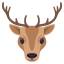 Deer :deer: 🦌